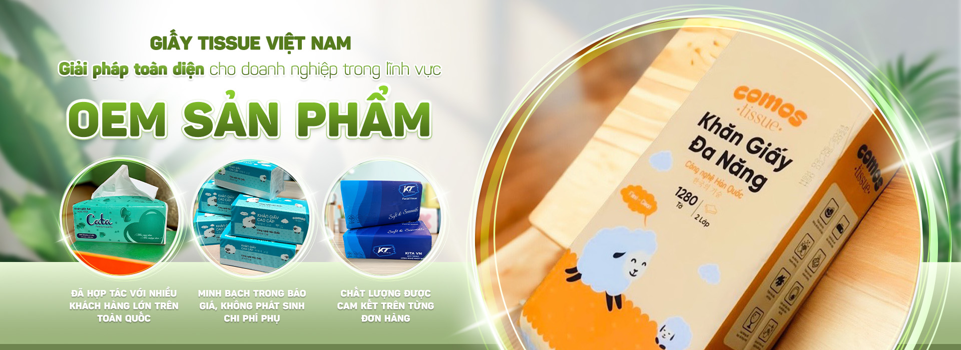 Công Ty CP Thương Mại Và Sản Xuất Giấy Tissue Việt Nam